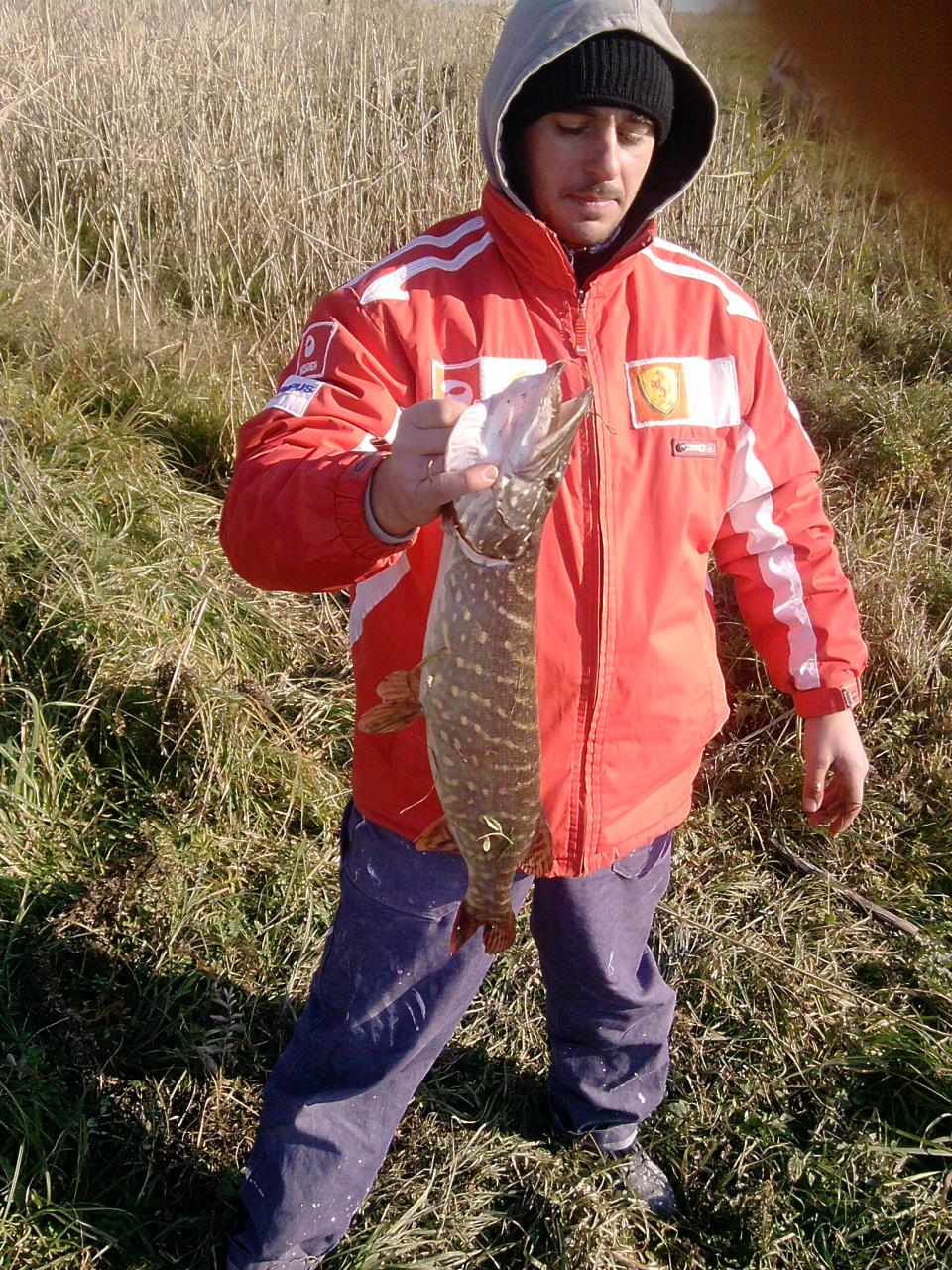 fishing - P301011_14.46.jpg